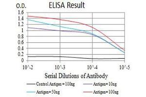 ELISA image for anti-Tumor Necrosis Factor (Ligand) Superfamily, Member 11 (TNFSF11) (AA 74-308) antibody (ABIN5611143)