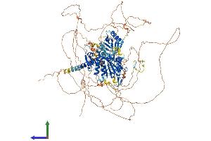 AlphaFold protein structure predicition of Mouse Recombinant Senp6 Protein, UniprotID Q6P7W0 (SENP6 Protein (AA 1-1132) (His tag))