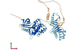 Protein Structure (PS) image for Polo-Like Kinase 5 (PLK5) (AA 1-595) protein (His tag) (ABIN7557378)