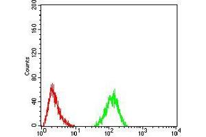 Flow cytometric analysis of Hela cells using RAD50 mouse mAb (green) and negative control (red). (RAD50 抗体  (AA 228-359))