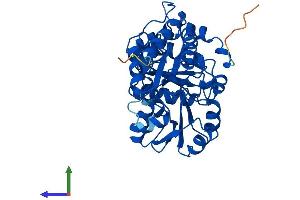 Protein Structure (PS) image for Cystathionase (Cystathionine gamma-Lyase) (CTH) (AA 1-405) protein (His tag) (ABIN7553317)