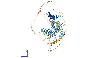 Protein Structure (PS) image for Zinc Finger Protein 75 (ZNF75) (AA 1-510) protein (His tag) (ABIN7545584)
