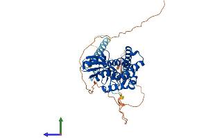 Protein Structure (PS) image for Failed Axon Connections Homolog (Drosophila) (FAXC) (AA 1-409) protein (His tag) (ABIN7557230)