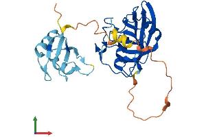 Protein Structure (PS) image for Peptidylprolyl Isomerase E (Cyclophilin E) (PPIE) (AA 1-301) protein (His tag) (ABIN7561829)