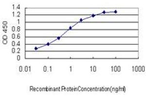 Detection limit for recombinant GST tagged SLC35A3 is approximately 0. (SLC35A3 抗体  (AA 61-113))