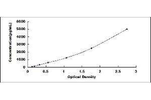 Typical standard curve (Claudin 3 ELISA 试剂盒)