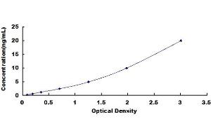 Typical standard curve (GOLGA8A ELISA 试剂盒)