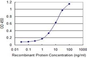 Detection limit for recombinant GST tagged KLF10 is 0. (KLF10/TIEG1 抗体  (AA 111-210))