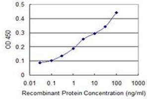 Detection limit for recombinant GST tagged RNF157 is 0. (RNF157 抗体  (AA 556-655))