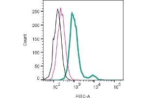 Cell surface detection of BDKRB1 by direct flow cytometry in live intact mouse J774 macrophage cell line: + Rabbit IgG isotype control-FITC (ABIN7582044).