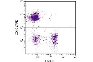 C57BL/6 mouse splenocytes were stained with Rat Anti-Mouse CD19-SPRD.