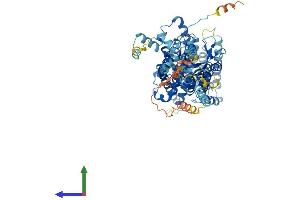 Protein Structure (PS) image for Solute Carrier Family 26, Member 5 (Prestin) (SLC26A5) (AA 1-744) protein (His tag) (ABIN7555350)