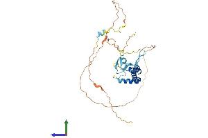 AlphaFold protein structure predicition of Human Recombinant SPRY1 Protein, UniprotID O43609