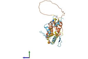 Protein Structure (PS) image for Kruppel-Like Factor 7 (Ubiquitous) (KLF7) (AA 1-301) protein (His tag) (ABIN7560307)