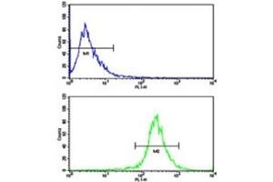 Flow Cytometry (FACS) image for anti-AXL Receptor tyrosine Kinase (AXL) (AA 13-44) antibody (ABIN3030091)