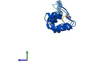 Protein Structure (PS) image for Cyclin-Dependent Kinase Inhibitor 2C (p18, Inhibits CDK4) (CDKN2C) (AA 1-168) protein (His tag) (ABIN7557609)