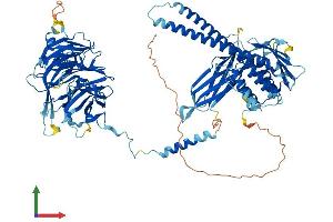 Protein Structure (PS) image for Bardet-Biedl Syndrome 9 (BBS9) (AA 1-887) protein (His tag) (ABIN7555102)