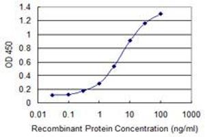 Detection limit for recombinant GST tagged STK31 is 0. (STK31 抗体  (AA 920-1019))