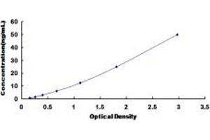 Typical standard curve (ALAS1 ELISA 试剂盒)