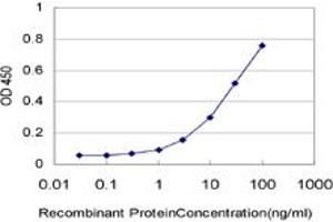 Detection limit for recombinant GST tagged HRSP12 is approximately 3ng/ml as a capture antibody. (HRSP12 抗体  (AA 1-137))