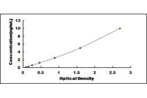 Typical standard curve (PDE12 ELISA 试剂盒)