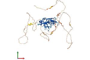 Protein Structure (PS) image for T-Box 4 (TBX4) (AA 1-545) protein (His tag) (ABIN7544330)