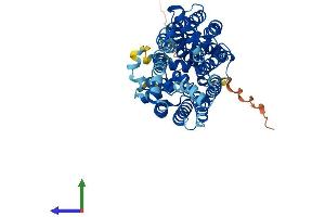 Protein Structure (PS) image for Solute Carrier Family 2 (Facilitated Glucose Transporter), Member 7 (SLC2A7) (AA 1-512) protein (His tag) (ABIN7548191)