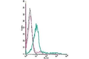 Cell surface detection of D3 Dopamine Receptor by indirect flow cytometry in live intact human Jurkat T-cell leukemia cells: (black line) Cells. (DRD3 抗体  (Extracellular, N-Term))