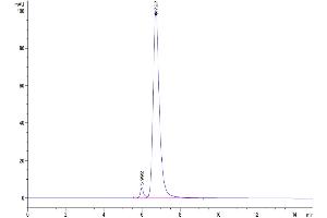 Size-exclusion chromatography-High Pressure Liquid Chromatography (SEC-HPLC) image for CD3 epsilon (CD3E) (AA 23-48) protein (Fc-Avi Tag) (ABIN7274153)