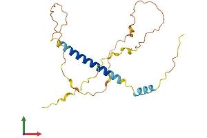 AlphaFold protein structure predicition of Human Recombinant BBC3 Protein, UniprotID Q9BXH1 (PUMA Protein (AA 1-193) (His tag))