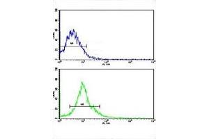 Flow cytometric analysis of HepG2 cells using AMFR antibody (green) compared to a negative control cell (blue).