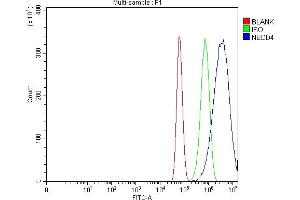 Flow Cytometry analysis of U87 cells using anti-NEDD4 antibody (ABIN7599536).