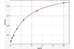 Ficolin (Collagen/fibrinogen Domain Containing) 1 (FCN1) ELISA Kit