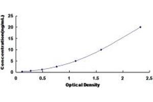 Typical standard curve (DYNC1H1 ELISA 试剂盒)