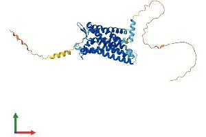 Protein Structure (PS) image for G Protein-Coupled Receptor 182 (GPR182) (AA 1-395) protein (His tag) (ABIN7563257)