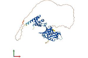 Protein Structure (PS) image for Myeloid Cell Nuclear Differentiation Antigen (MNDA) (AA 1-407) protein (His tag) (ABIN7549470)