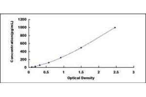 Typical standard curve (ATM ELISA 试剂盒)