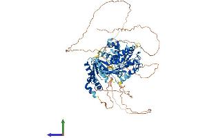 Protein Structure (PS) image for DEAD Box Protein 4 (DDX4) (AA 1-702) protein (His tag) (ABIN7563916)