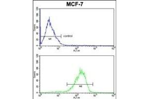 P2 Antibody  FC analysis of MCF-7 cells (bottom histogram) compared to a negative control cell (top histogram). (MAP2 抗体)