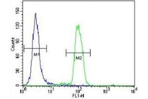 Flow Cytometry (FACS) image for anti-Mitogen-Activated Protein Kinase 14 (MAPK14) (AA 295-324) antibody (ABIN3031831)