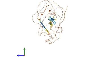AlphaFold protein structure predicition of Mouse Recombinant Nrg3 Protein, UniprotID O35181