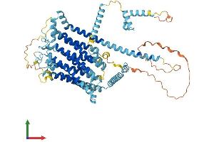 AlphaFold protein structure predicition of Human Recombinant TMC8 Protein, UniprotID Q8IU68