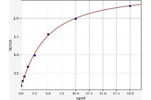 AKT2 ELISA 试剂盒