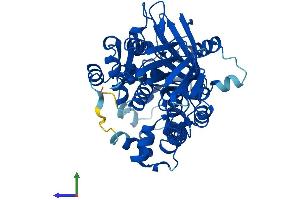 Protein Structure (PS) image for Protoporphyrinogen Oxidase (PPOX) (AA 1-477) protein (His tag) (ABIN7563376)