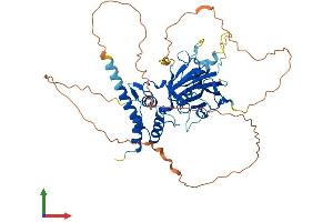 Protein Structure (PS) image for SMAD, Mothers Against DPP Homolog 6 (SMAD6) (AA 1-496) protein (His tag) (ABIN7546102)