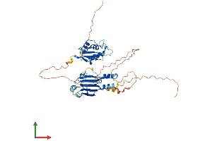 AlphaFold protein structure predicition of Mouse Recombinant Irf4 Protein, UniprotID Q64287