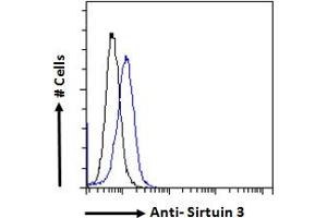 ABIN768568 Flow cytometric analysis of paraformaldehyde fixed NIH3T3 cells (blue line), permeabilized with 0. (SIRT3 抗体  (Internal Region))