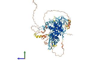 Protein Structure (PS) image for Metastasis Associated in Colon Cancer 1 (MACC1) (AA 1-852) protein (His tag) (ABIN7554458)