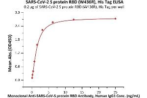 ELISA image for SARS-CoV-2 Spike S1 (RBD), (W436R) protein (His tag) (ABIN6952632)