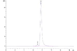 Size-exclusion chromatography-High Pressure Liquid Chromatography (SEC-HPLC) image for Colony Stimulating Factor 3 Receptor (Granulocyte) (CSF3R) (AA 25-627) protein (His tag) (ABIN7274783)